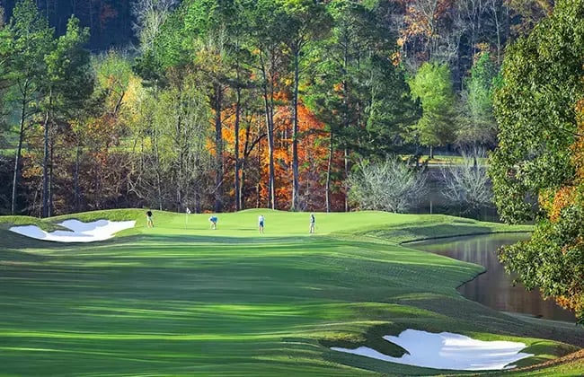 beautiful fall trees overlooking men golfing at ggcc